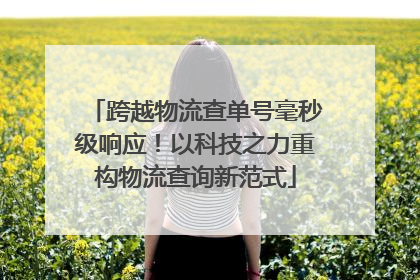 跨越物流查单号毫秒级响应！以科技之力重构物流查询新范式