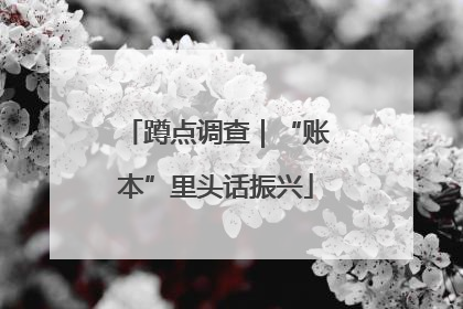 蹲点调查｜“账本”里头话振兴