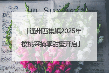 通州西集镇2025年樱桃采摘季甜蜜开启