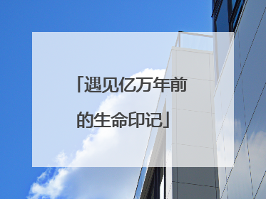遇见亿万年前的生命印记
