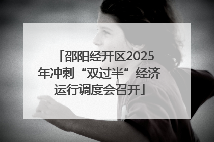 邵阳经开区2025年冲刺“双过半”经济运行调度会召开