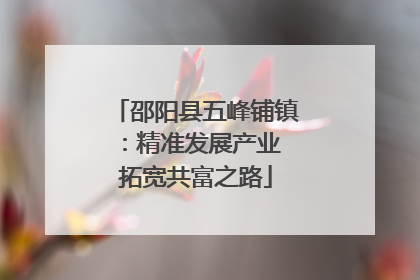 邵阳县五峰铺镇：精准发展产业 拓宽共富之路