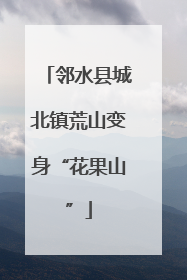 邻水县城北镇荒山变身“花果山”