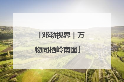邓勃视界｜万物同栖岭南图