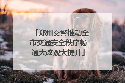 郑州交警推动全市交通安全秩序畅通大改观大提升