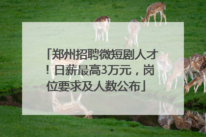 郑州招聘微短剧人才！日薪最高3万元，岗位要求及人数公布