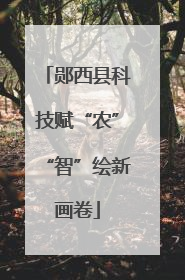 郧西县科技赋“农”“智”绘新画卷