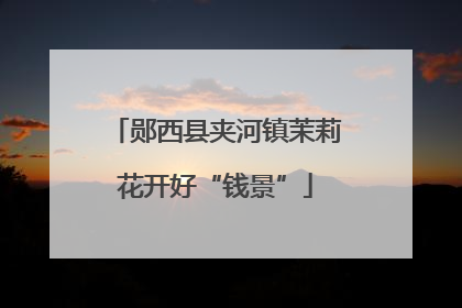 郧西县夹河镇茉莉花开好“钱景”
