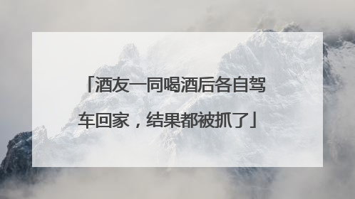 酒友一同喝酒后各自驾车回家，结果都被抓了