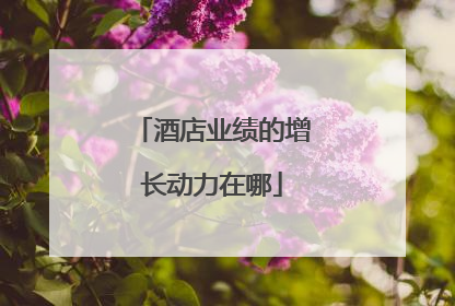 酒店业绩的增长动力在哪