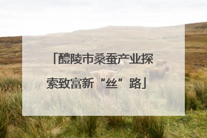 醴陵市桑蚕产业探索致富新“丝”路