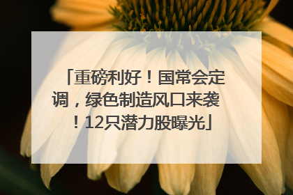 重磅利好！国常会定调，绿色制造风口来袭！12只潜力股曝光