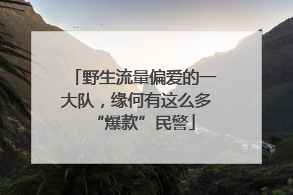 野生流量偏爱的一大队，缘何有这么多“爆款”民警