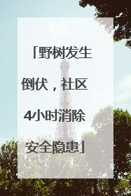 野树发生倒伏，社区4小时消除安全隐患