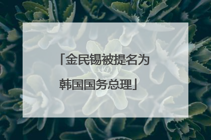 金民锡被提名为韩国国务总理