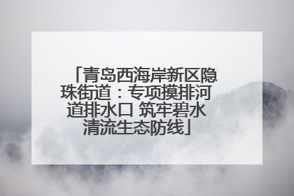 青岛西海岸新区隐珠街道：专项摸排河道排水口 筑牢碧水清流生态防线