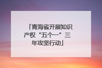青海省开展知识产权“五个一”三年攻坚行动