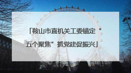 鞍山市直机关工委锚定“五个聚焦”抓党建促振兴