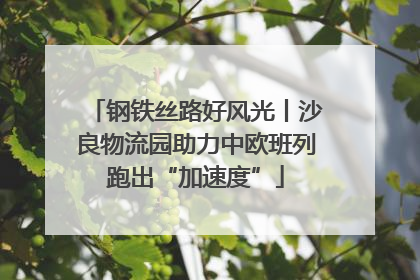 钢铁丝路好风光丨沙良物流园助力中欧班列跑出“加速度”