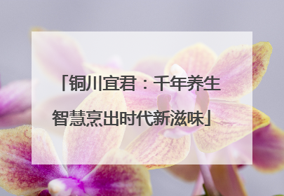 铜川宜君：千年养生智慧烹出时代新滋味