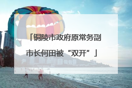铜陵市政府原常务副市长何田被“双开”