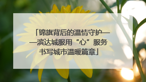 锦旗背后的温情守护——滨达城服用“心”服务书写城市温暖篇章