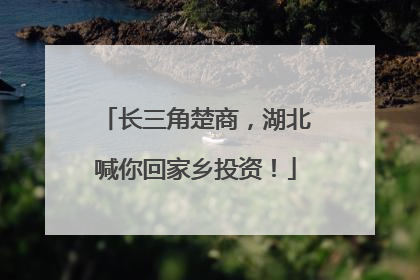 长三角楚商，湖北喊你回家乡投资！