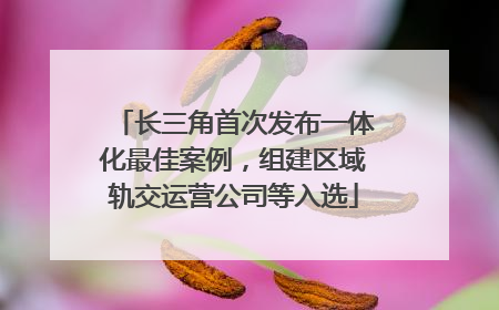 长三角首次发布一体化最佳案例，组建区域轨交运营公司等入选