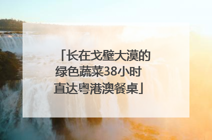 长在戈壁大漠的绿色蔬菜38小时直达粤港澳餐桌