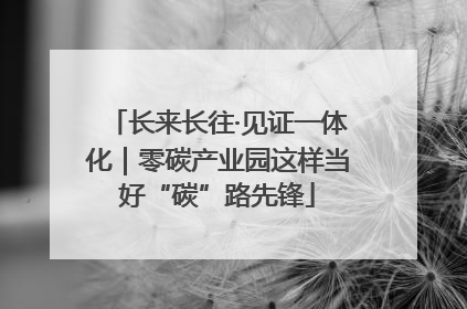 长来长往·见证一体化｜零碳产业园这样当好“碳”路先锋