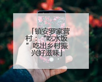 镇安罗家营村：“吃水饭”吃出乡村振兴好滋味