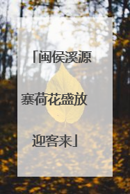 闽侯溪源寨荷花盛放迎客来
