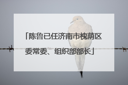陈鲁已任济南市槐荫区委常委、组织部部长