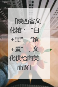 陕西省文化馆：“白+黑”“馆+景”，文化供给向美而聚