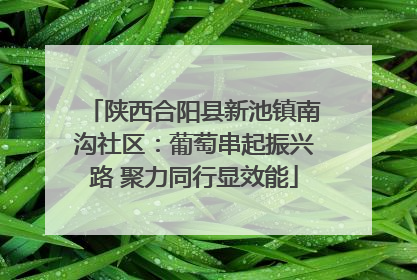陕西合阳县新池镇南沟社区：葡萄串起振兴路 聚力同行显效能