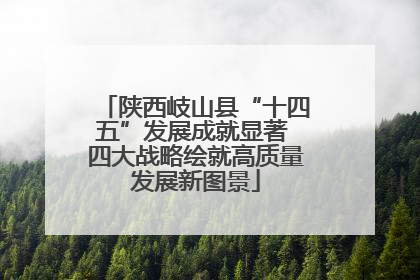陕西岐山县“十四五”发展成就显著 四大战略绘就高质量发展新图景