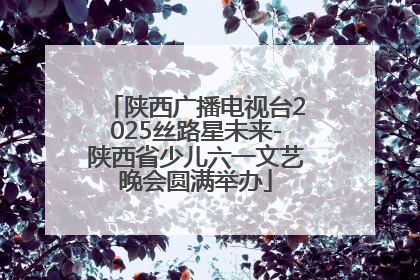 陕西广播电视台2025丝路星未来-陕西省少儿六一文艺晚会圆满举办
