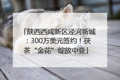 陕西西咸新区泾河新城：300万美元签约！茯茶“金花”绽放中亚