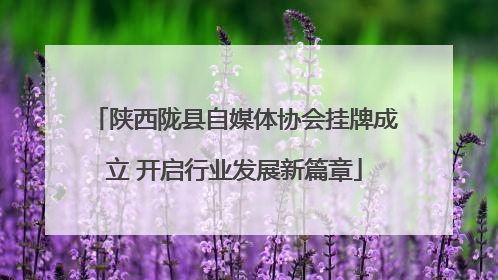 陕西陇县自媒体协会挂牌成立 开启行业发展新篇章