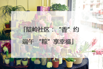 陡岭社区：“香”约端午 “粽”享幸福