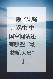 除了果蝇、涡虫 中国空间站还有哪些“动物航天员”
