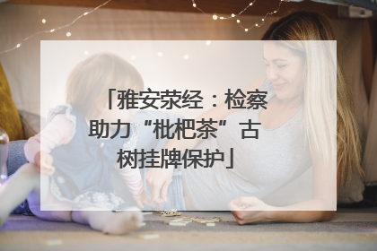 雅安荥经：检察助力“枇杷茶”古树挂牌保护