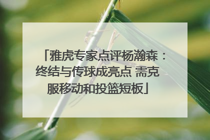 雅虎专家点评杨瀚森：终结与传球成亮点 需克服移动和投篮短板