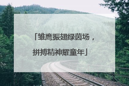 雏鹰振翅绿茵场,拼搏精神耀童年