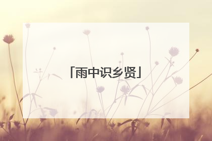 雨中识乡贤