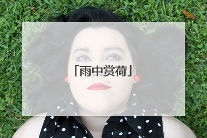 雨中赏荷