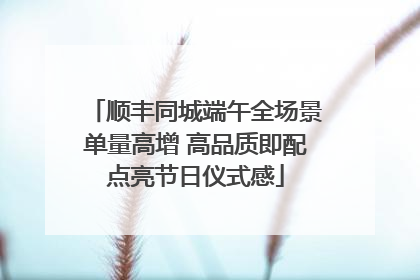 顺丰同城端午全场景单量高增 高品质即配点亮节日仪式感