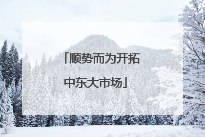 顺势而为开拓中东大市场