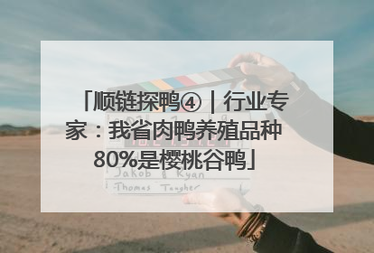 顺链探鸭④｜行业专家：我省肉鸭养殖品种80%是樱桃谷鸭