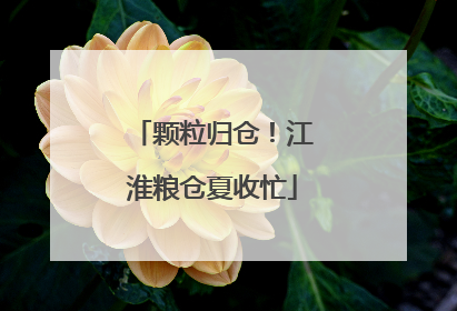颗粒归仓！江淮粮仓夏收忙